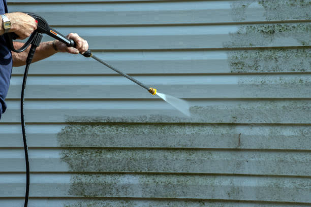Best Sidewalk and Walkway Cleaning  in Melbourne, FL